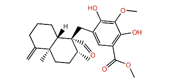 Langconol C